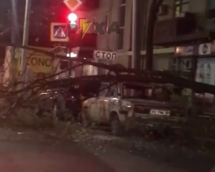 В Харькове на машину рухнуло дерево (видео)