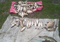 Под Харьковом с моторной лодки незаконно поймали серебряных карасей