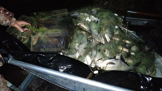 Под Харьковом на водохранилище нашли рыбацкие сети, но не рыбаков