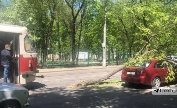 В центре Харькова дерево рухнуло на автомобиль
