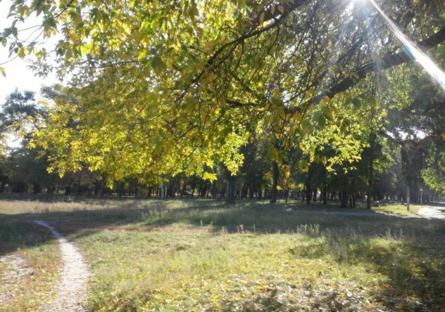 В Харькове появится новая зона отдыха