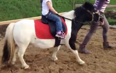 В Харькове маленький ребенок упал с лошади (видео)