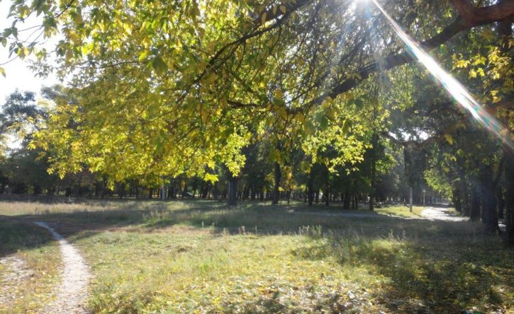 В Харькове реконструируют Карякин сад. Ремонт начнется в 2022 году