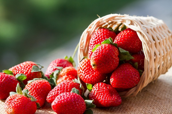 В Харькове начался сезон клубники: сколько стоят ягоды