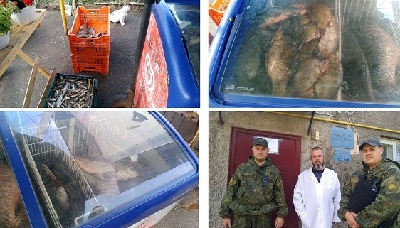 С рынка в Харьковской области изъяли килограммы рыбы