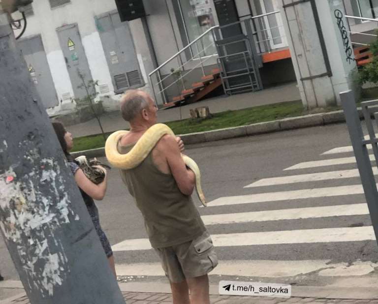 Пара харьковчан на улице выгуливала огромных змей (фото)