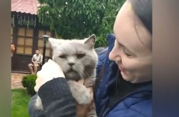 В Харькове кот десять дней просидел в гнезде на елке (видео)