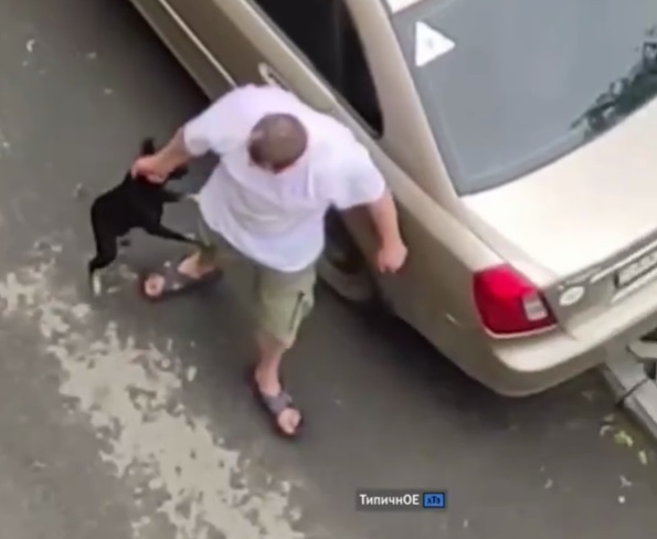 В Харькове мужчина посреди улицы избил свою собаку. Животное забрали