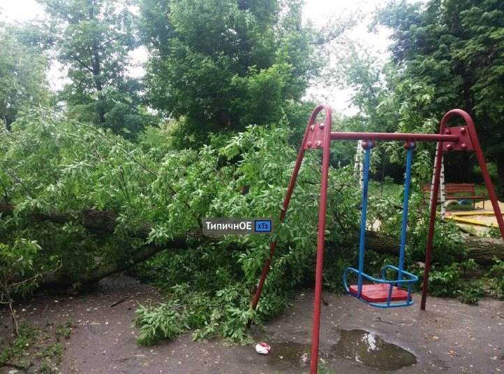 В Харькове упали деревья: одно рухнуло на детской площадке, второе задело машину