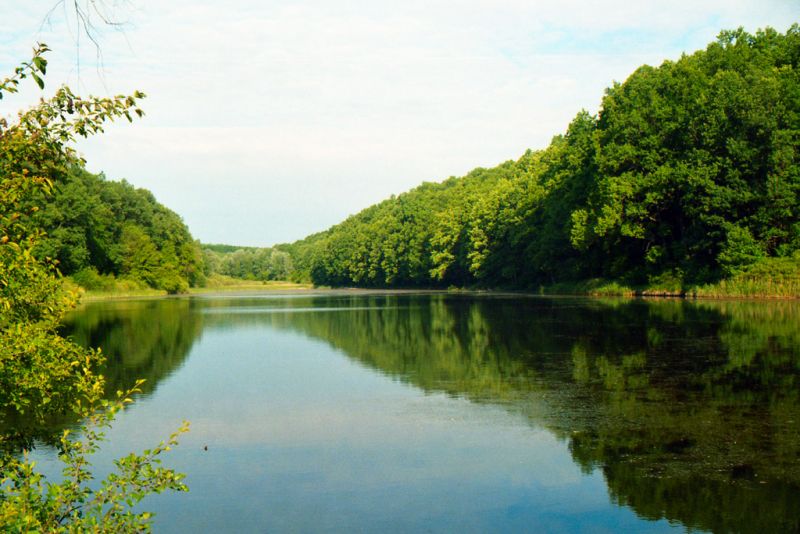 Комплекс озер в Харьковской области станет заказником