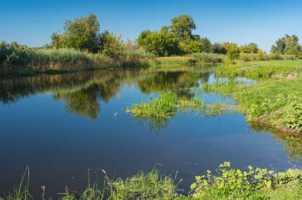 На двух пляжах Харьковской области нашли кишечную палочку: где нельзя купаться