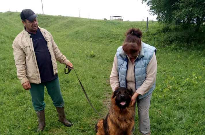 Под Харьковом собака, которую украли три года назад, вернулась к хозяевам