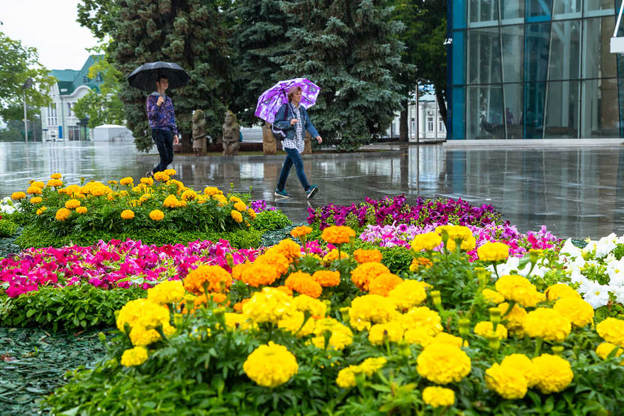 Ни дня без града: харьковчан опять предупреждают о сложных погодных условиях
