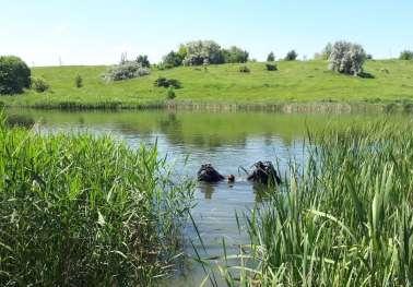 В пруду в Богодуховском районе нашли тело парня