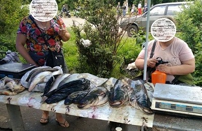 На рынке под Харьковом торговали краснокнижной рыбой 