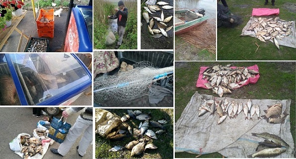 С харьковских рынков изъяли сотни килограммов рыбы
