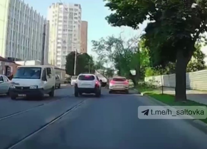 В Харькове на оживленную магистраль рухнуло дерево (видео)