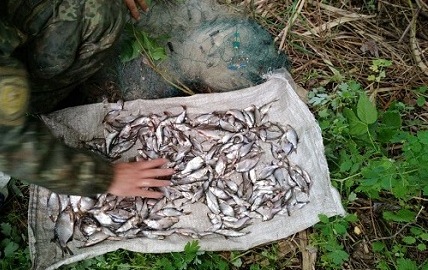 На Оскольском водохранилище сетями нелегально поймали сотни рыб