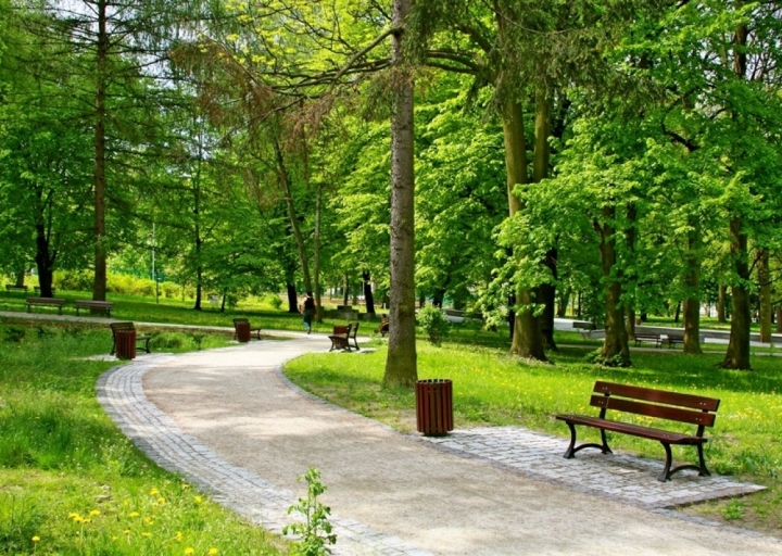 Харьковчане просят создать парк возле аэропорта
