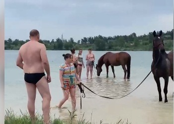 Харьковчане жалуются на лошадей в озере
