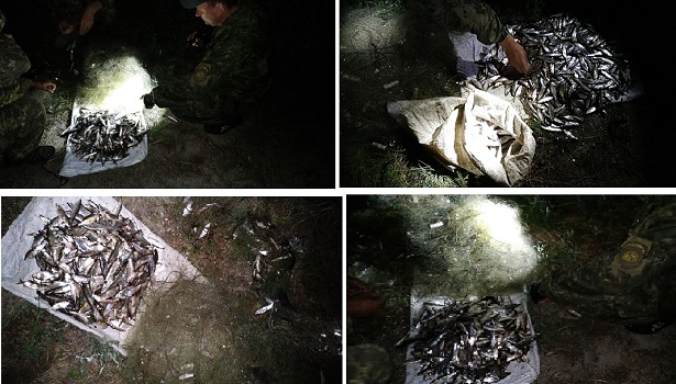 На Северском Донце с лодки двое мужчин за ночь выловили полтысячи рыб