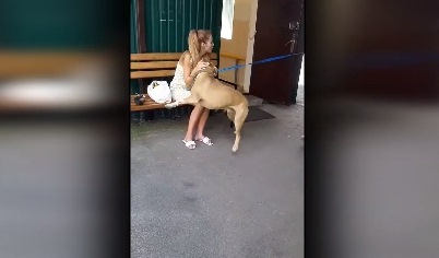 Привязал собаку и бросил в жару. В Харькове парень решил жестоко отомстить девушке