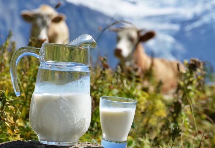 В Харькове может подорожать молоко