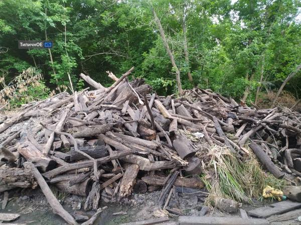 Снова пластик, мусор и стекло: под Харьковом продолжают чистить реку (фото)