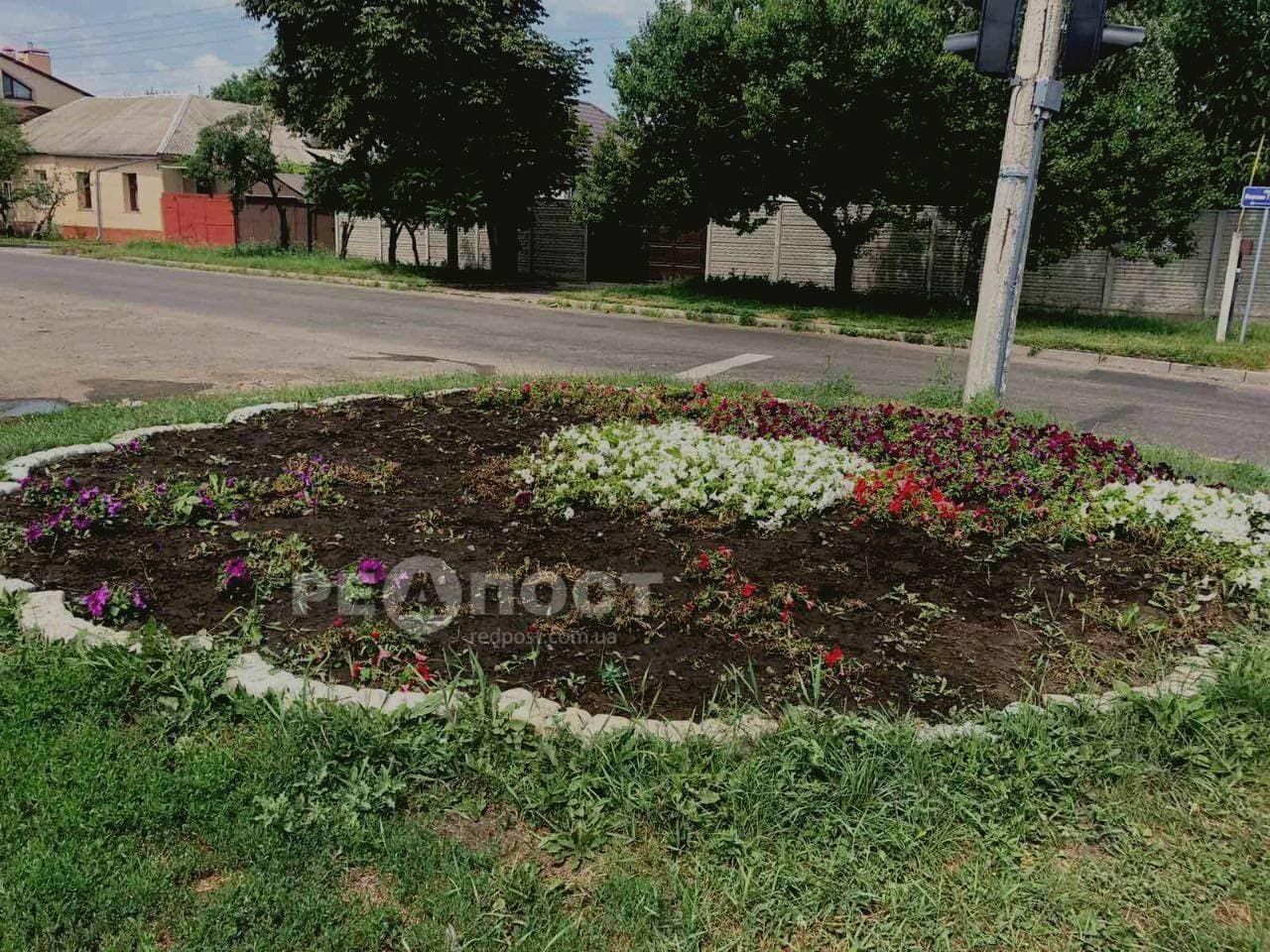 В Харькове вандалы выкопали из клумбы все цветы (фото)