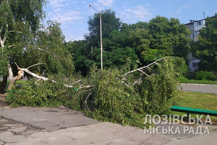 Поваленные деревья, обесточивание, вода в домах. В Лозовой бушевала стихия