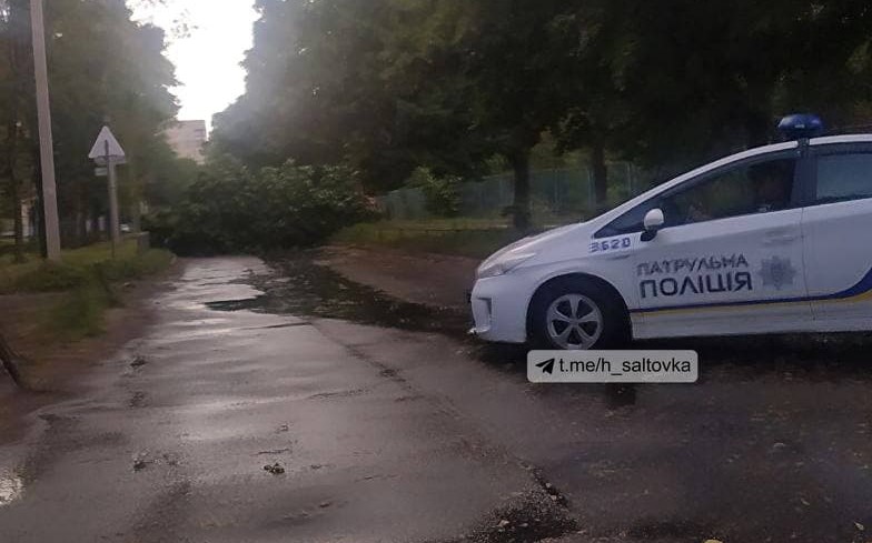 Дождь на Салтовке: стихия снесла палатки и повалила деревья (видео)