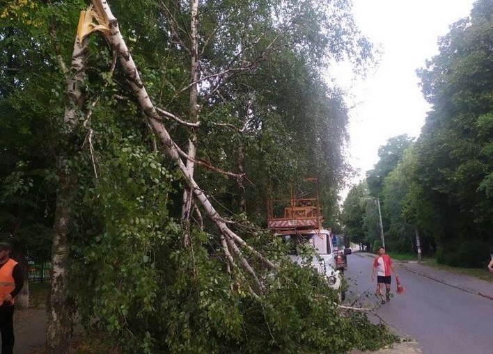 В Лозовой буря повалила деревья