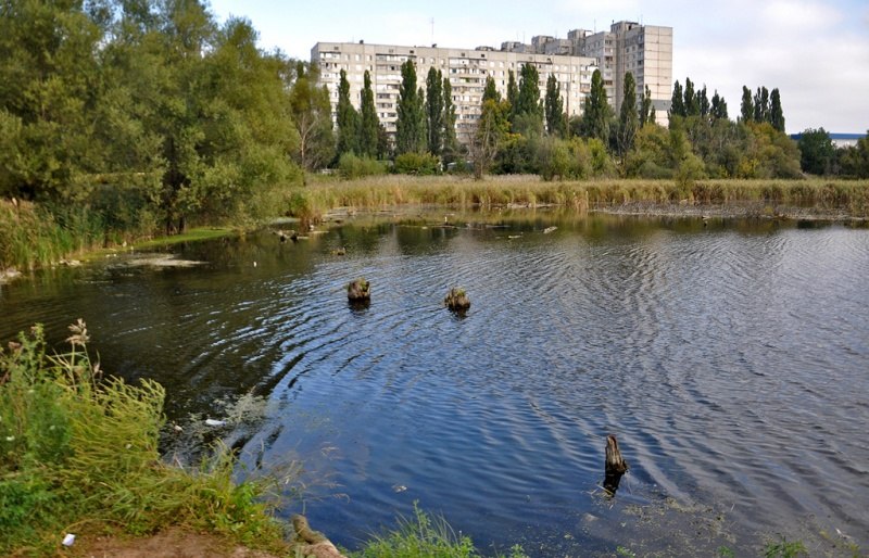 В Харькове мужчину прямо с пляжа увезли в полицию, его подозревают в педофилии
