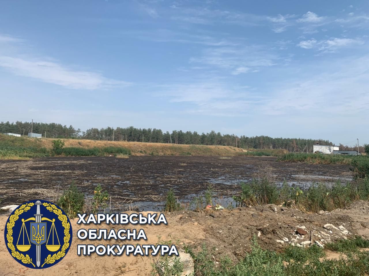 Под Харьковом появилось "озеро" из отходов свинофермы