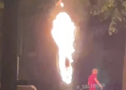 Пламя доставало до деревьев. В центре Харькова в сквере устроили пожар (видео)
