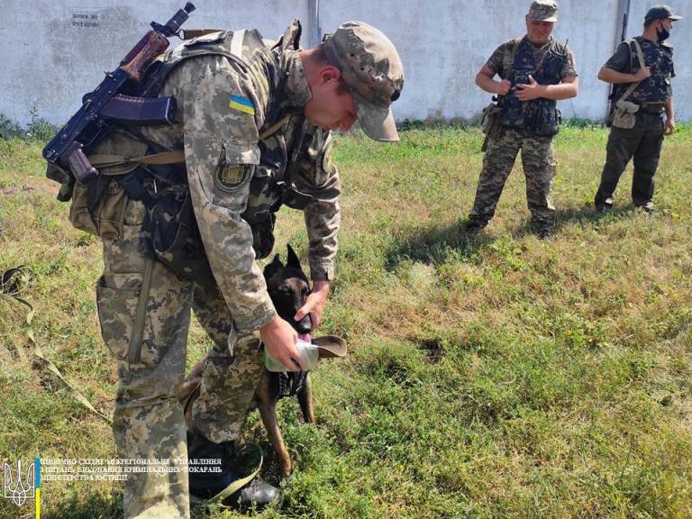 Сигнал о побеге заключенных. Харьковскую колонию обыскали с собаками