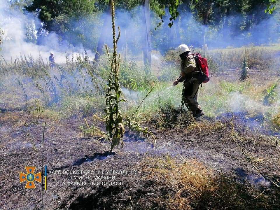 Возле Краснограда - крупный пожар