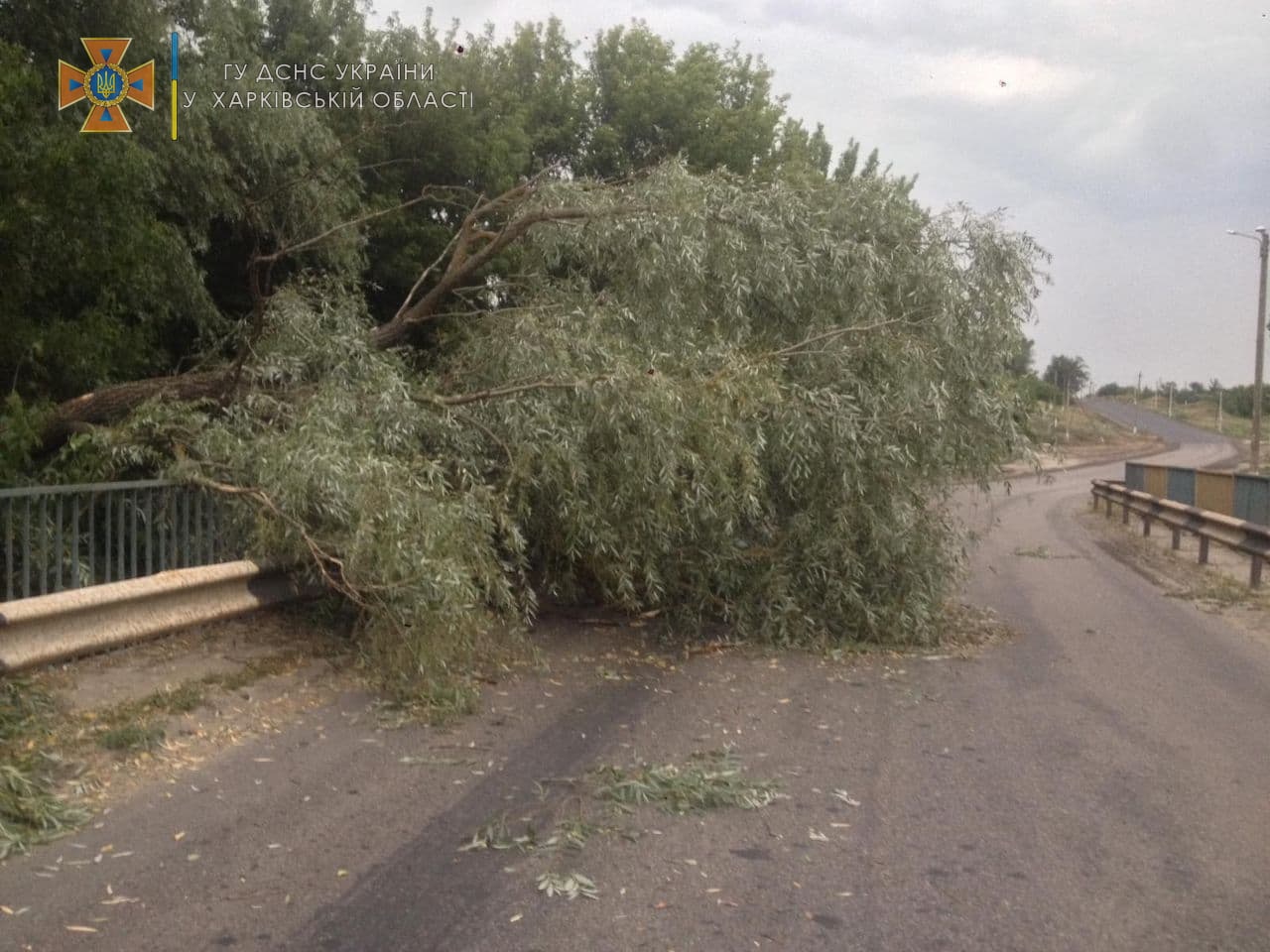 Под Харьковом ураганный ветер повалил деревья