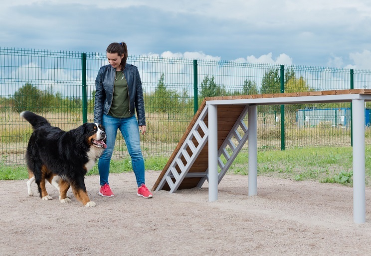 Харьковчане просят сделать на Салтовке площадку для выгула собак