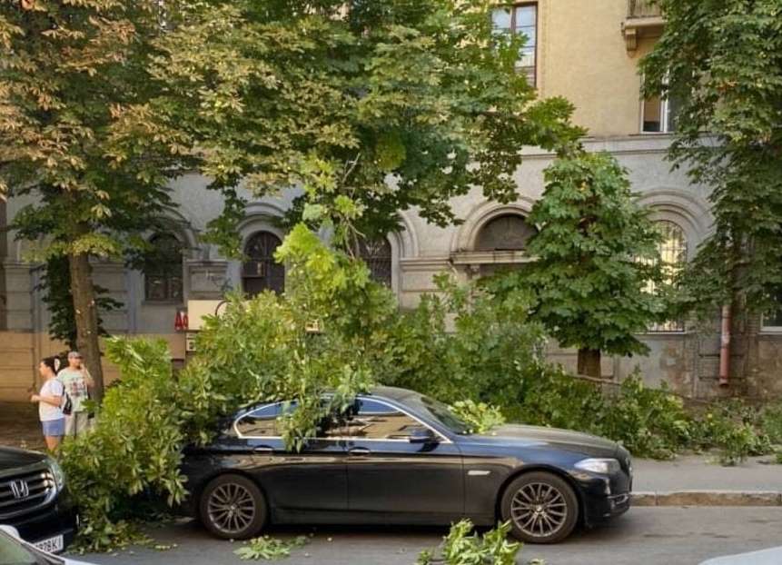 В центре Харькова дерево рухнуло на BMW