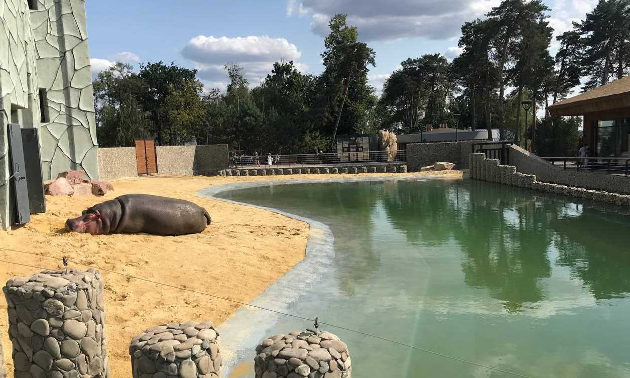 Как выглядит харьковский зоопарк после реконструкции. Фото