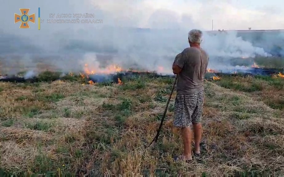 Огонь охватил 1500 квадратных метров. Под Харьковом поджигатель устроил масштабный пожар