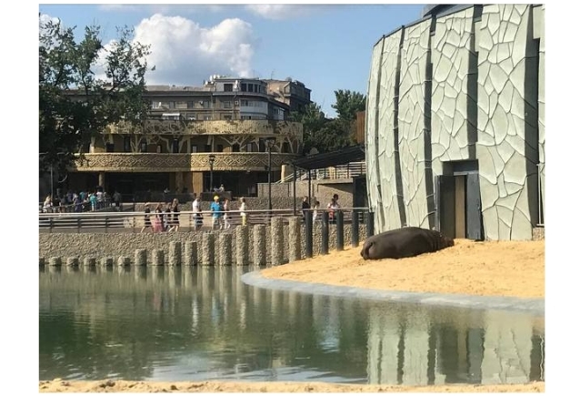 Осторожно, фейк! В Харькове мошенники раздают приглашения в зоопарк