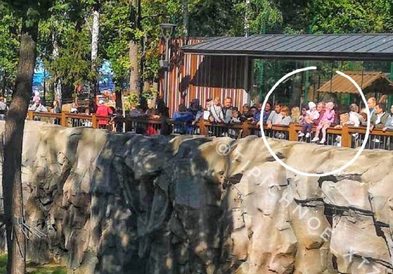 В зоопарке мужчина посадил маленьких детей на забор вольера с медведем