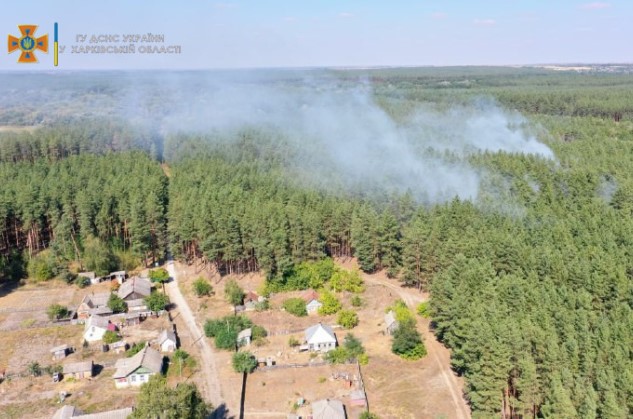 В Харьковской области загорелся лес: спасатели сработали оперативно (фото)