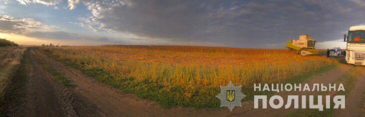 В Харьковской области чиновник захватил кусок земли и выращивал там подсолнечник