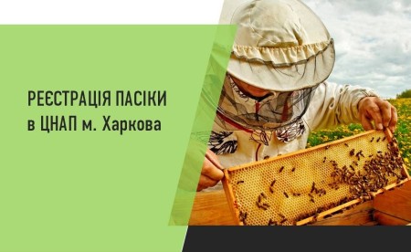 В Харькове владельцам пчелосемей предлагают новую услугу
