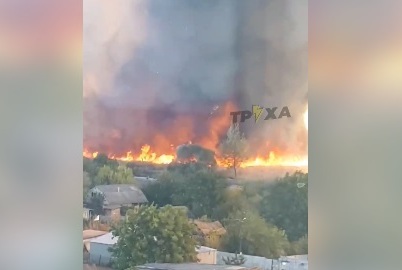 Под Харьковом - масштабный пожар, огонь угрожал жилым домам (видео)