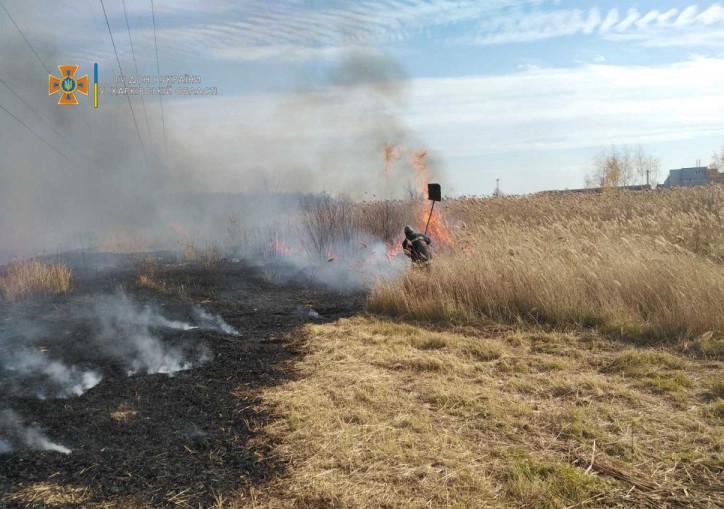 Полыхает трава и камыш: под Харьковом – масштабный пожар