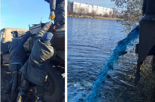 В Кулиничевский пруд выпустили тысячи толстолобиков, карпов и амуров